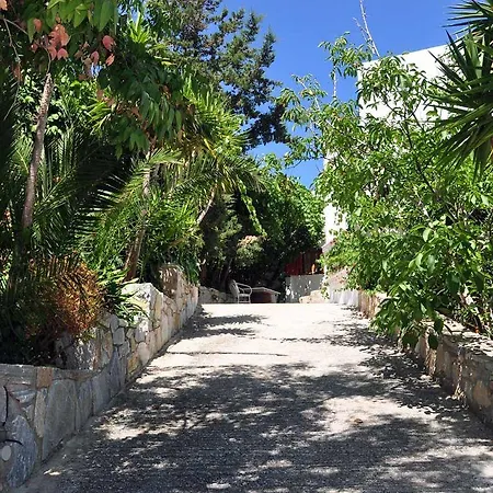 Guest house Petrino 3*