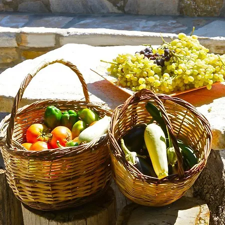 Guest house Petrino Ambrami