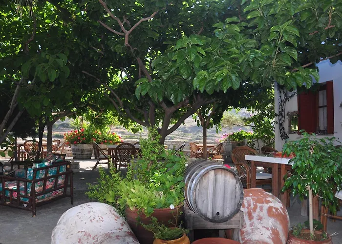 בית הארחה Petrino