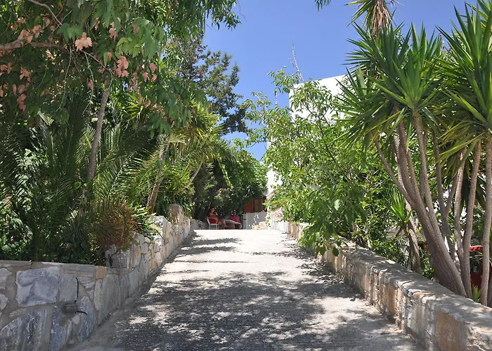 בית הארחה Petrino 3*